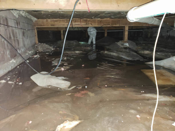 Best Ceiling and Wall Water Damage Repair in Radisson, NY